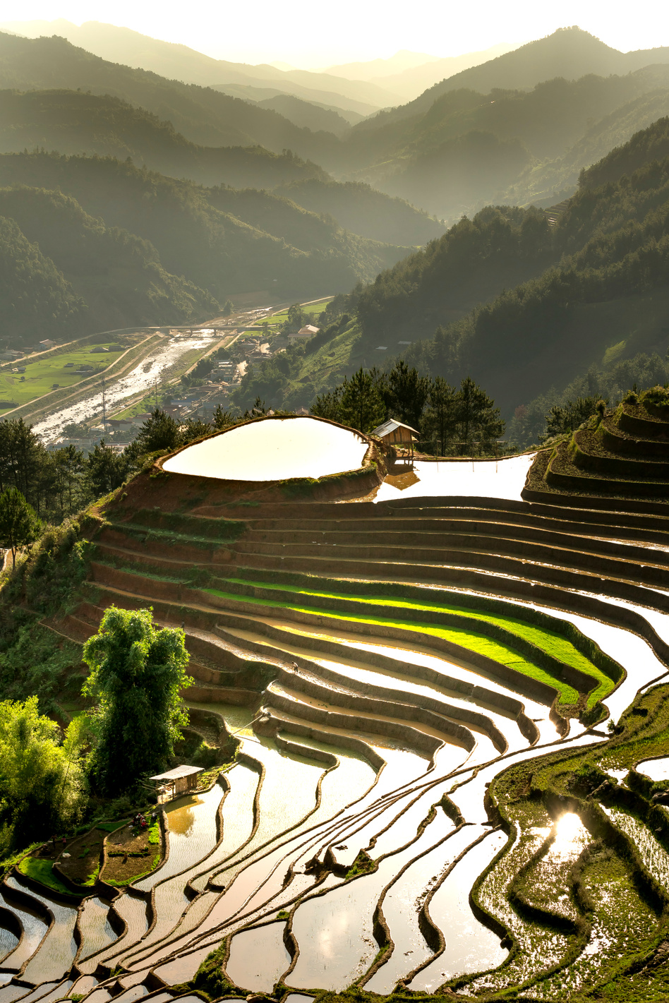 beautiful scenery of the terraces in the watering season in Mu Cang Chai, Yen Bai Province, Vietnam